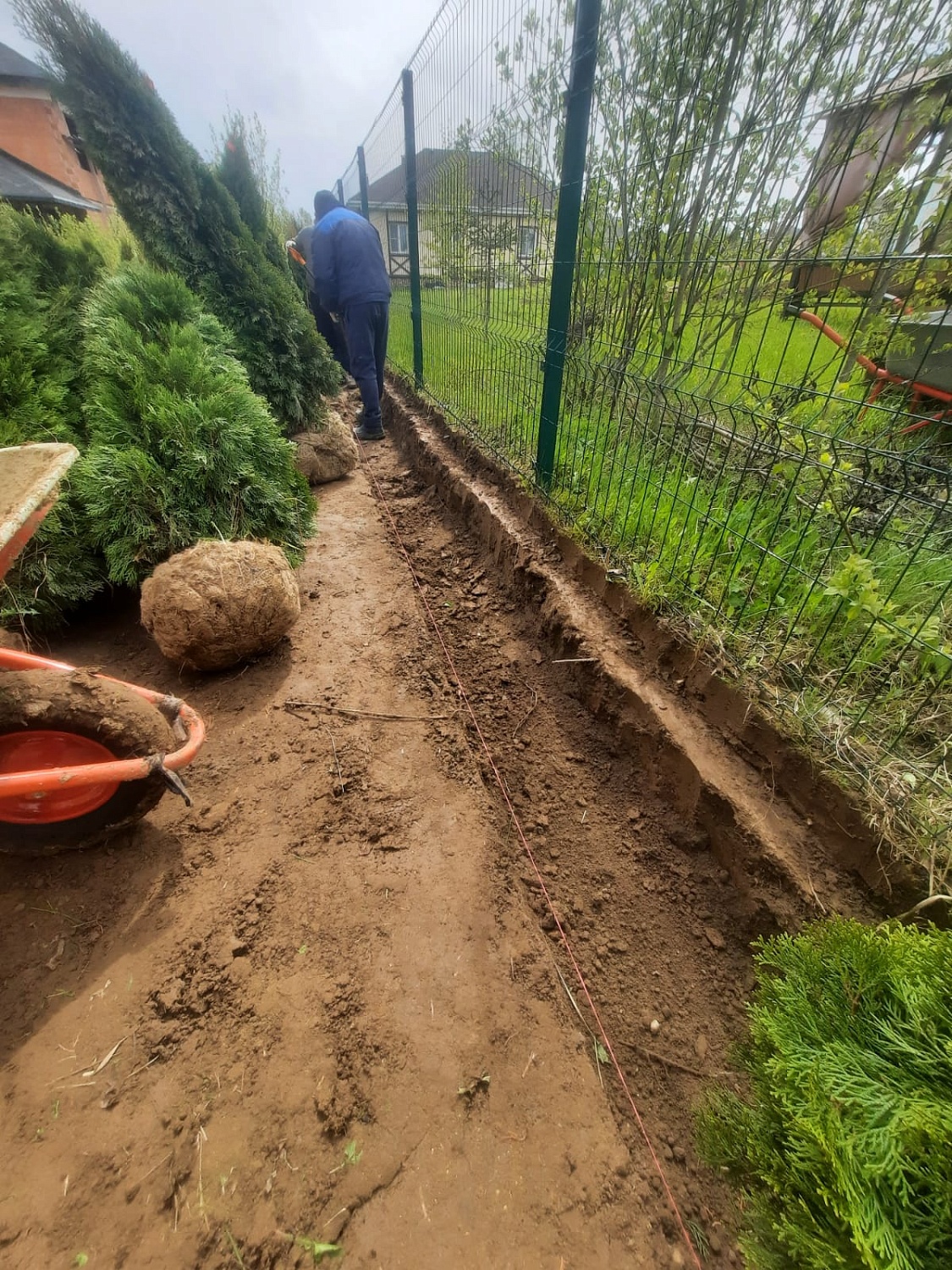 Посадка растений