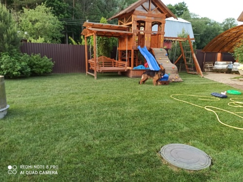 "Спортивный"