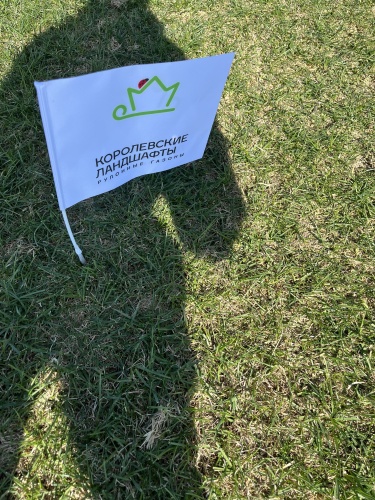 "Стандартный"