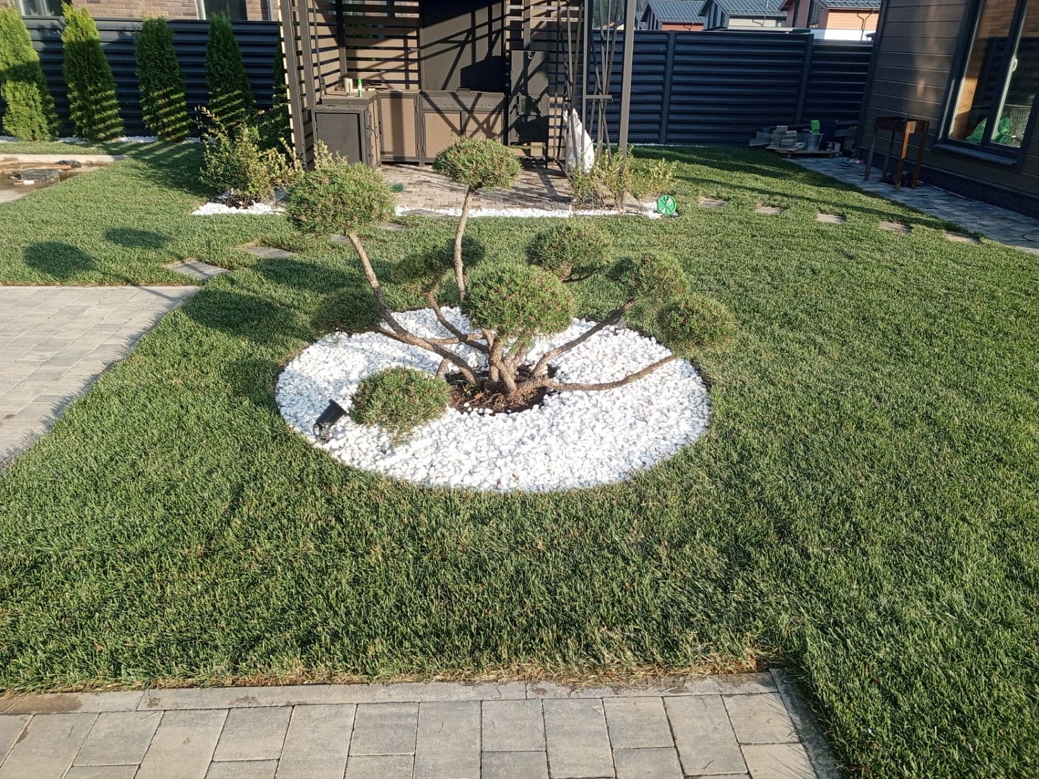 Посадка растений