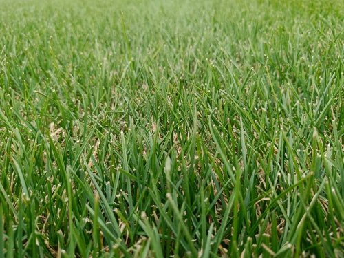 "Спортивный"