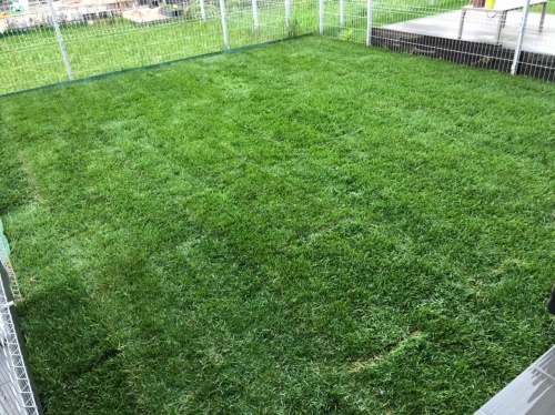 "Спортивный"