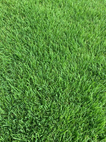 "Спортивный"