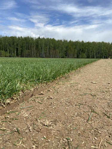 "Спортивный"