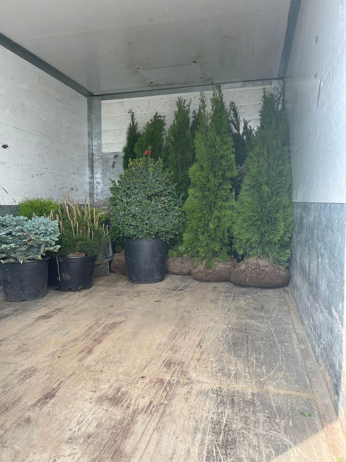 Посадка растений