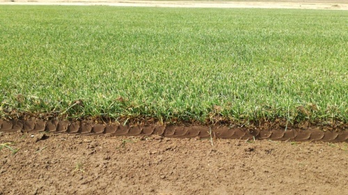 "Стандартный"