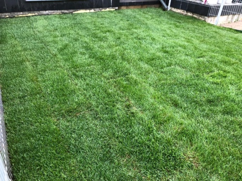 "Спортивный"