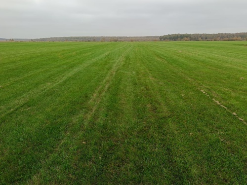 "Стандартный"